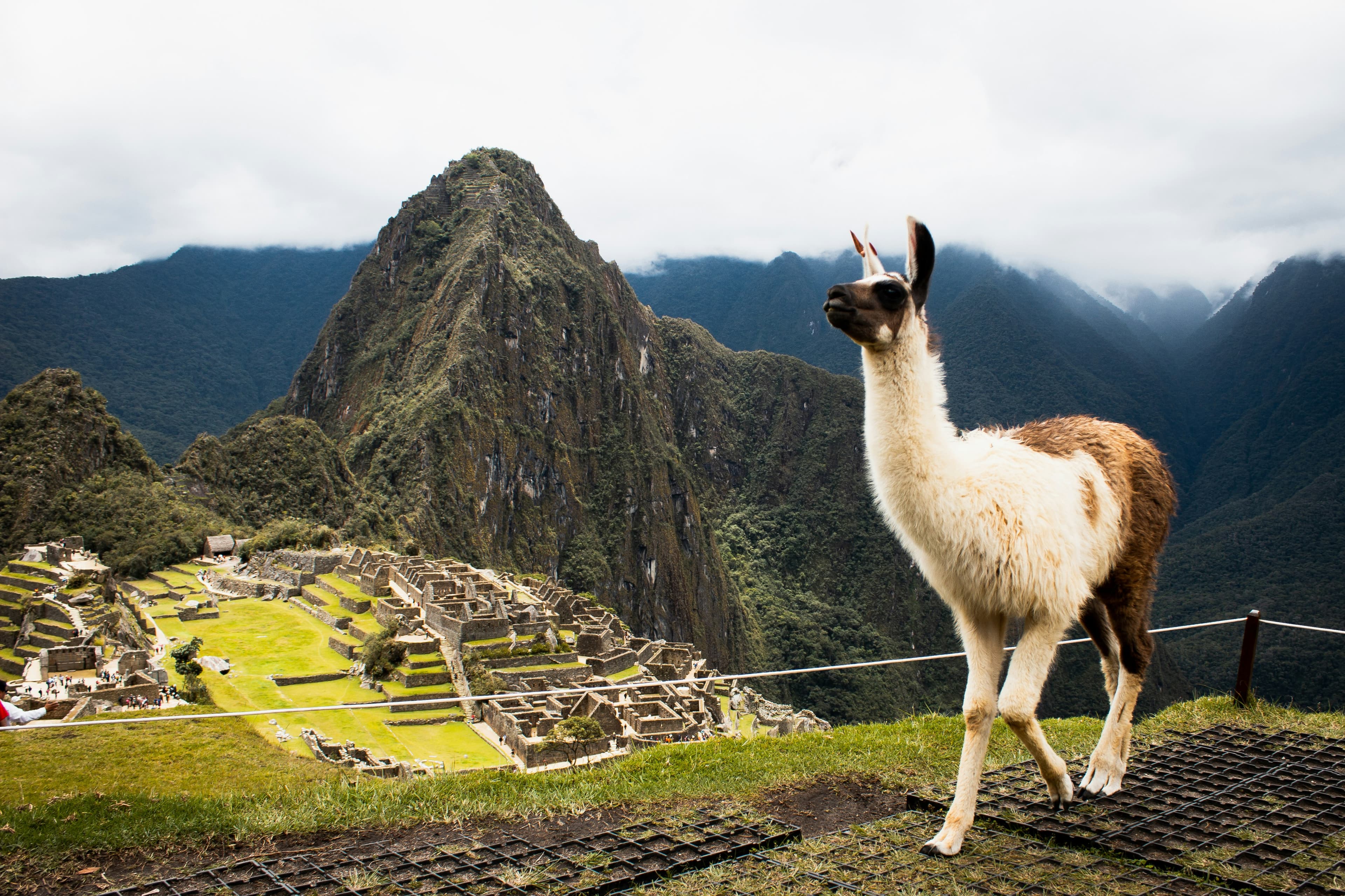 Immerse Yourself in Culture at Machu Picchu